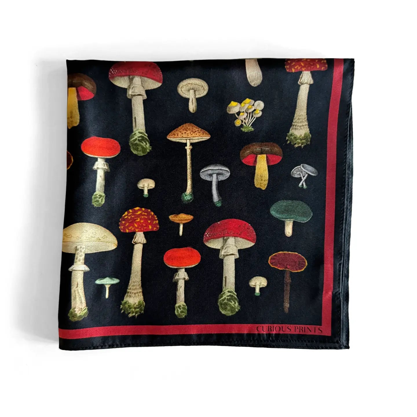 Silk Scarf