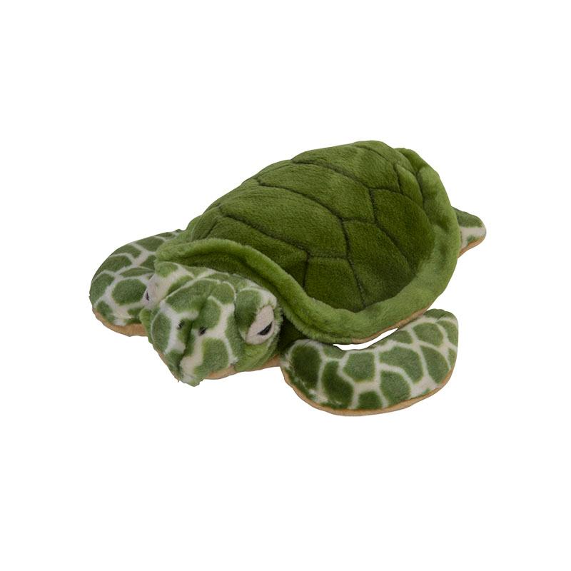Sea Turtle