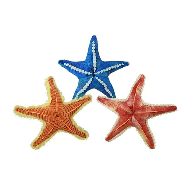 Textured Starfish
