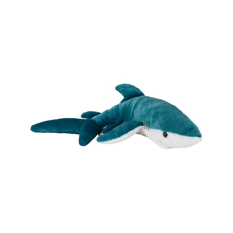Blue Shark