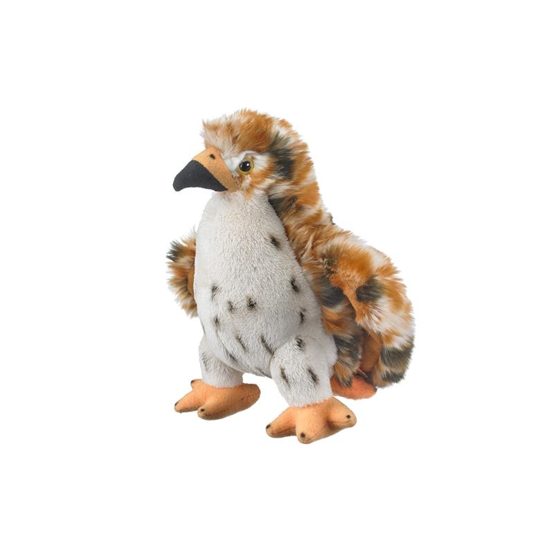 Red-Tailed Hawk