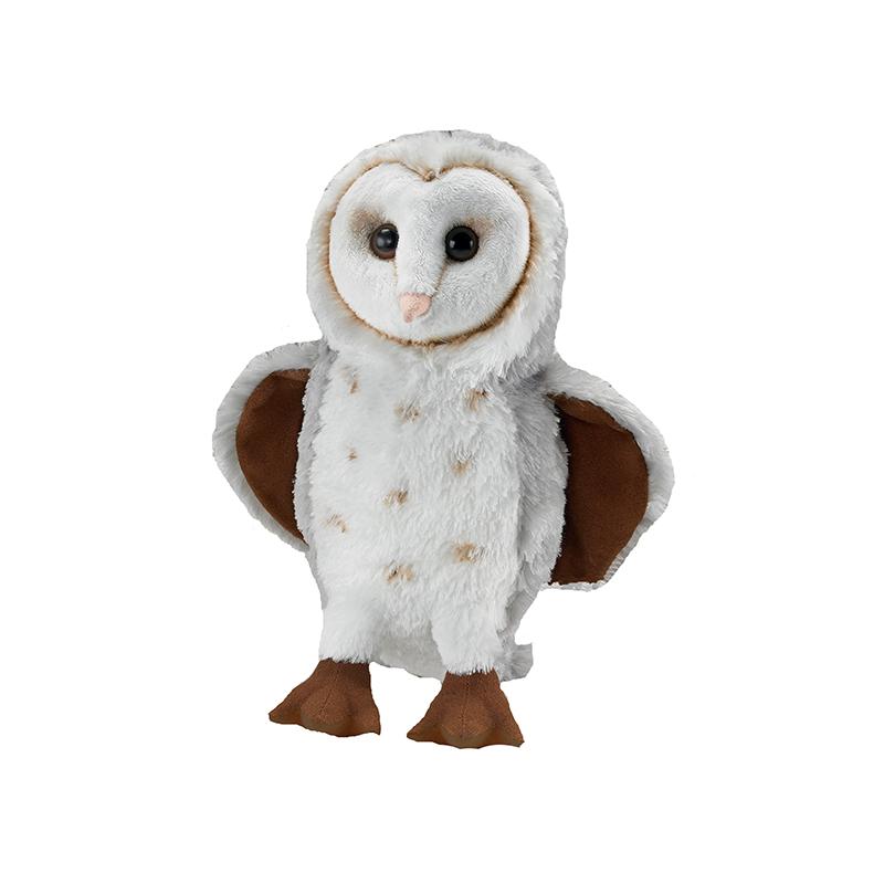 Barn Owl