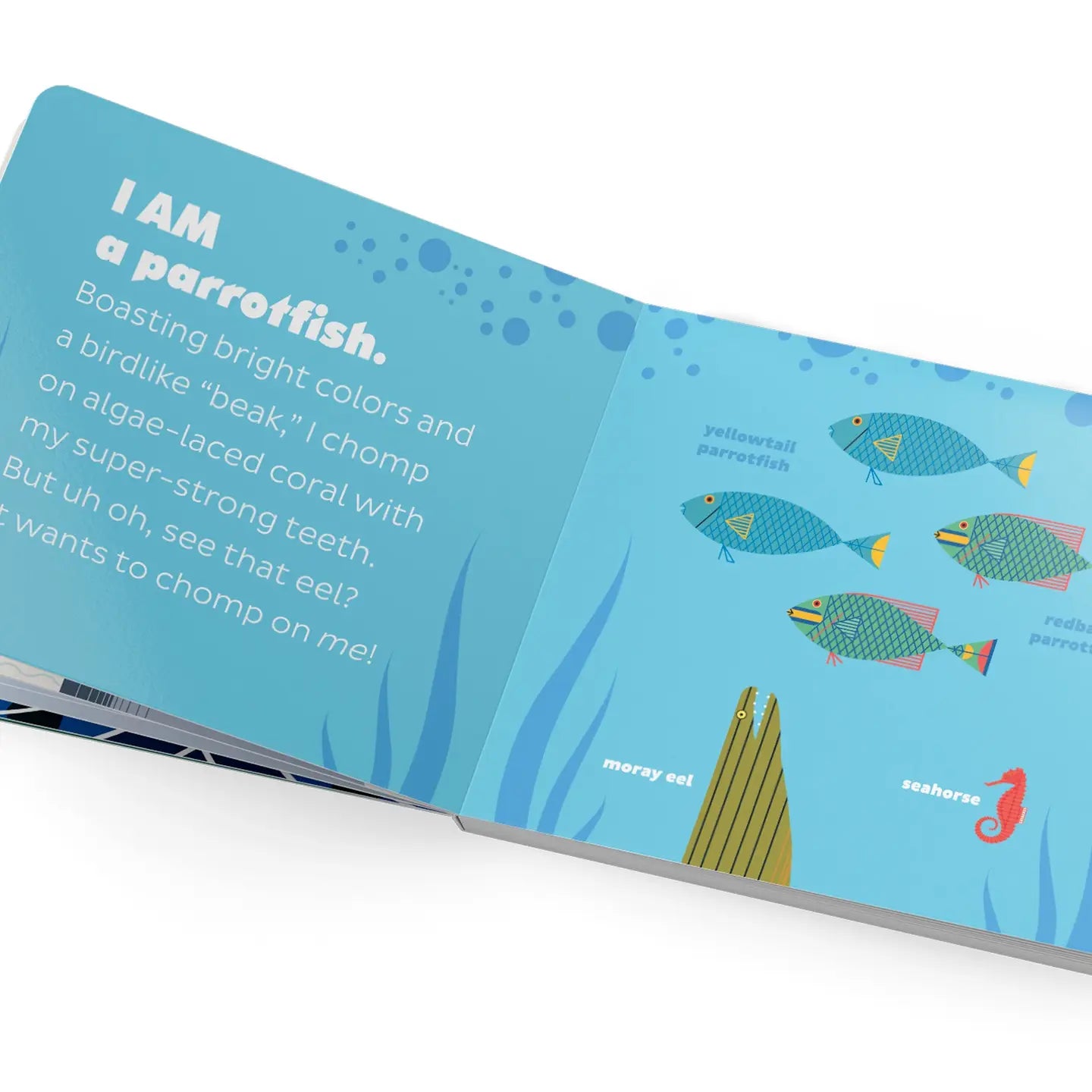 Charley Harper's I Am Wild in the Ocean Board Book