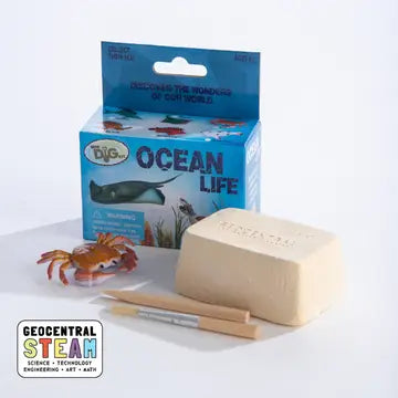 Mini Dig Kit
