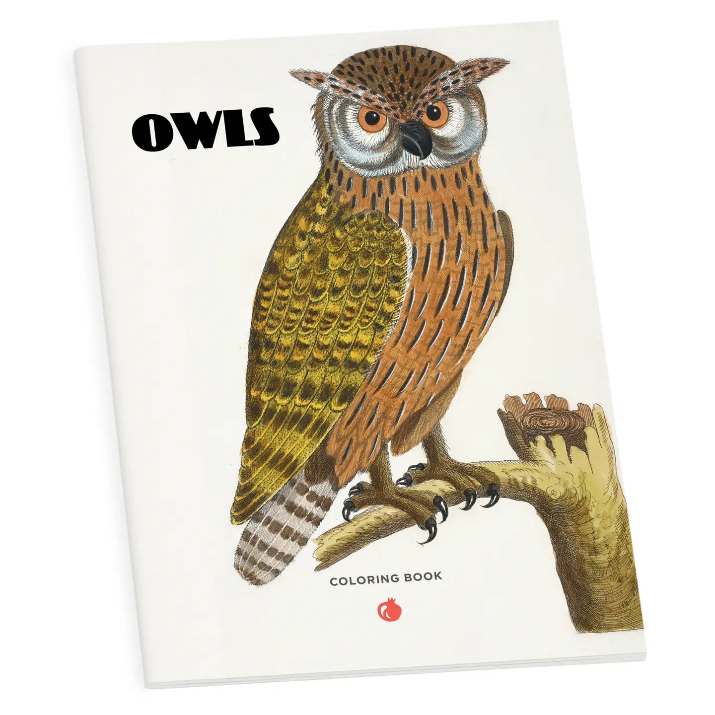 Owls Coloring Book