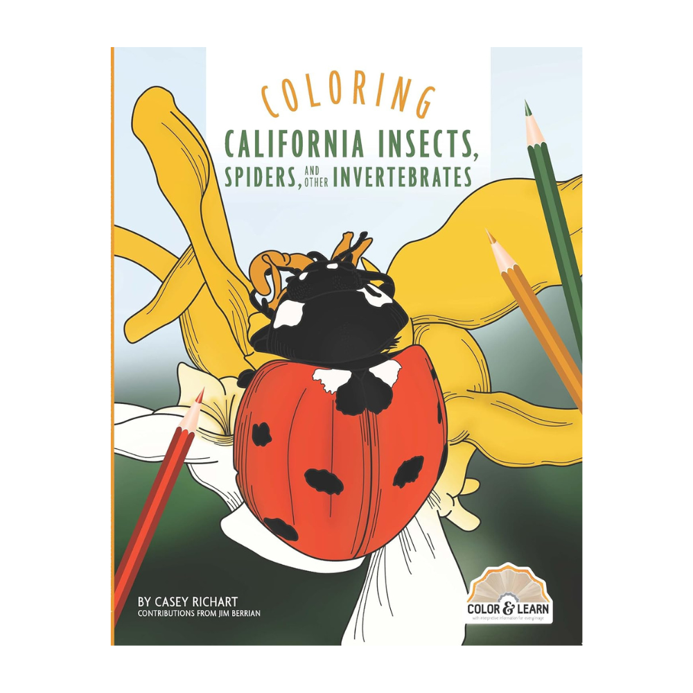 Coloring California Insects, Spiders, and Other Invertebrates