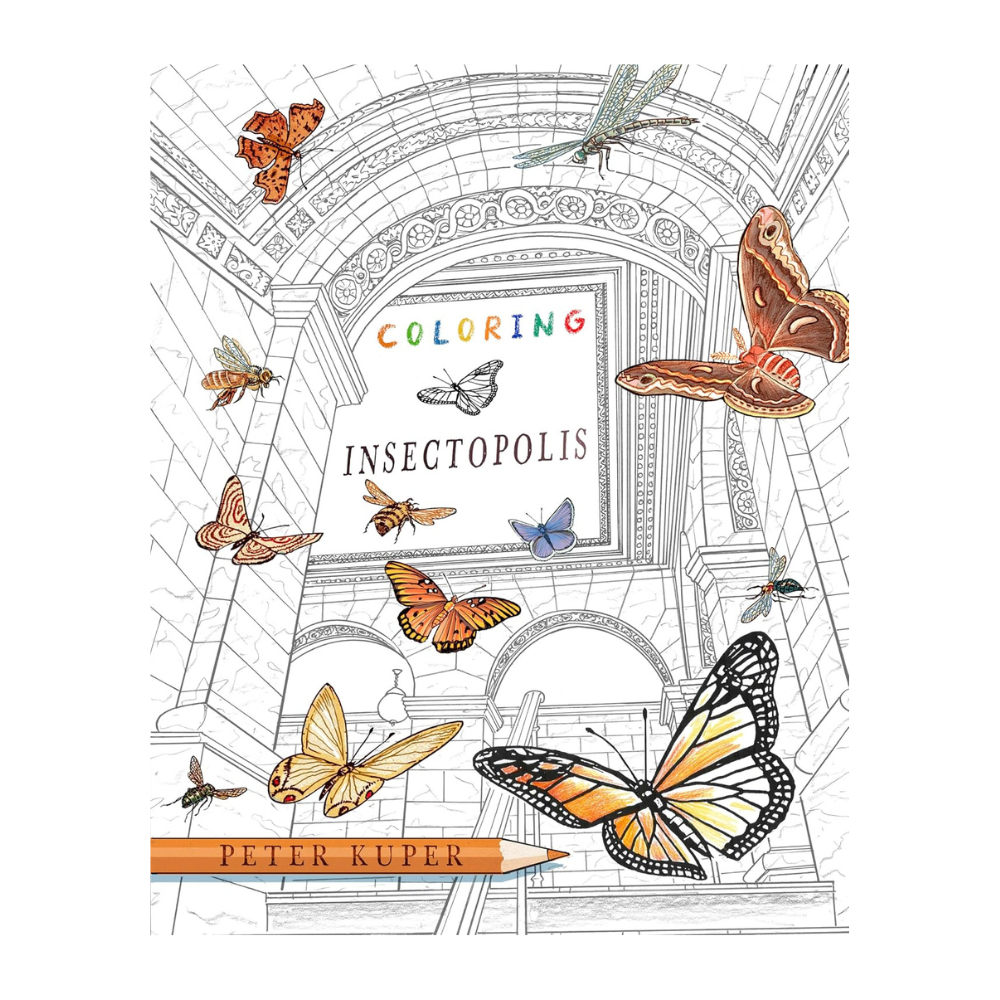 Coloring Insectopolis