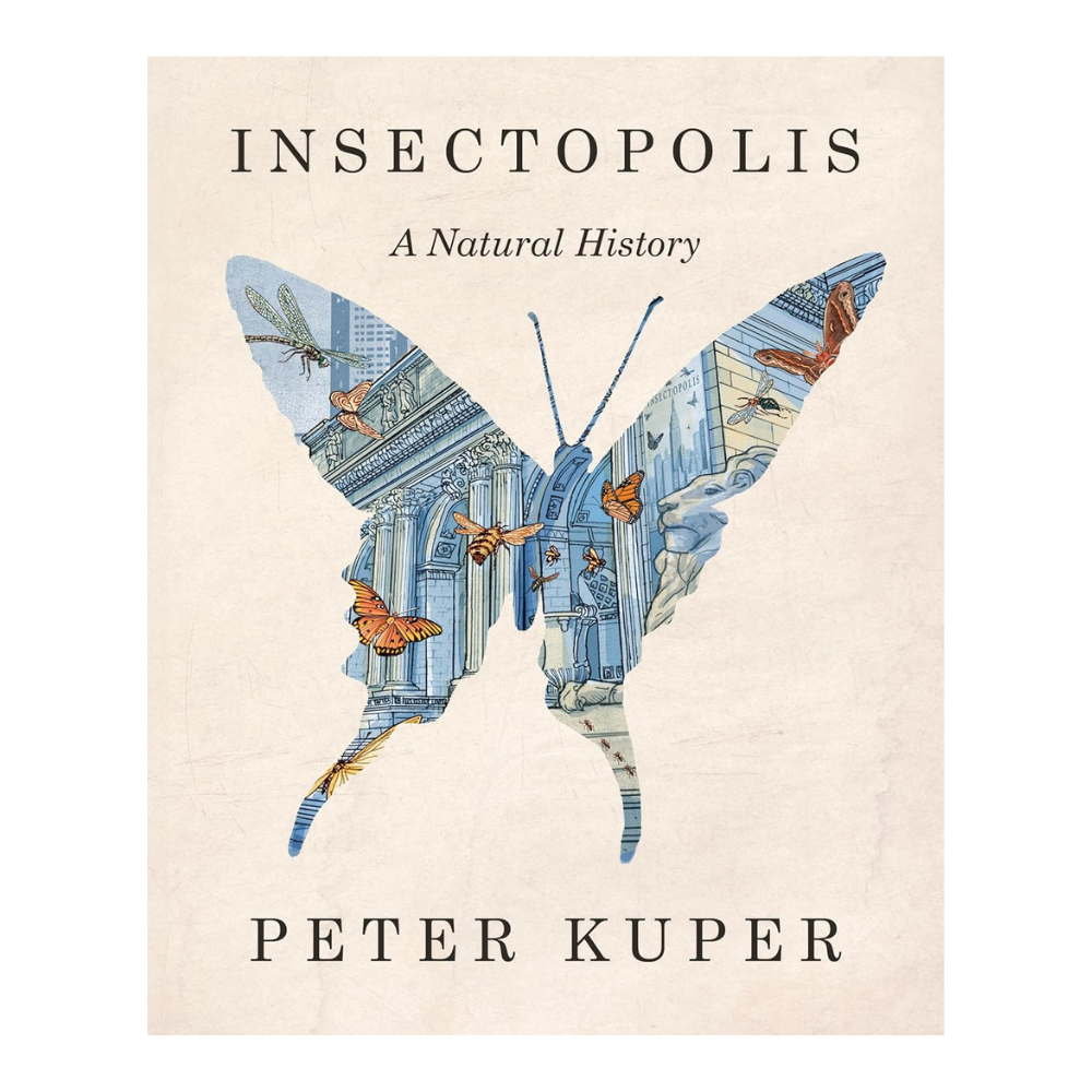 Insectopolis: A Natural History