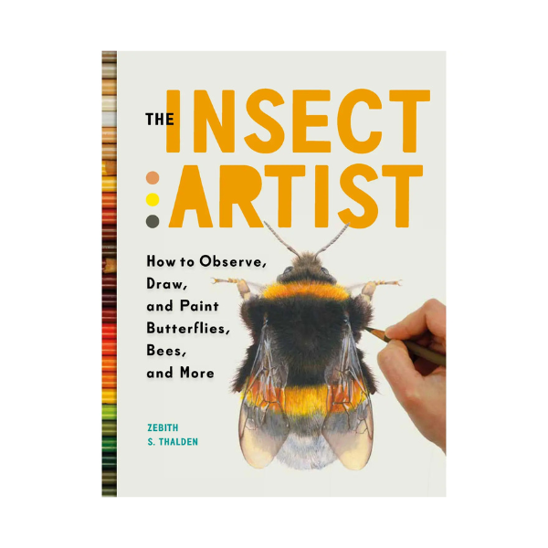 The Insect Artist