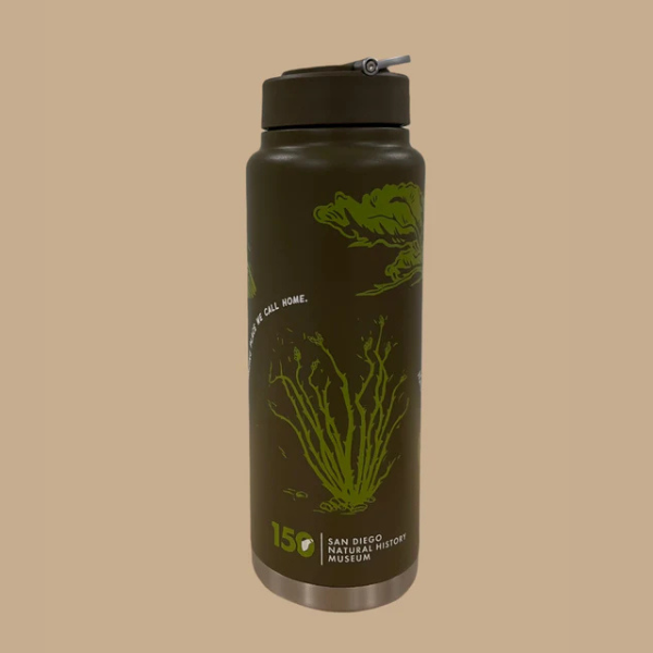 NAT Water Bottle