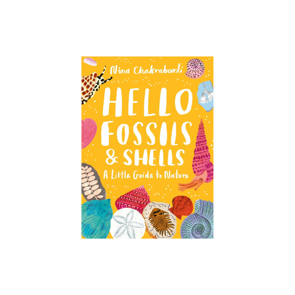 Hello Fossils and Shells