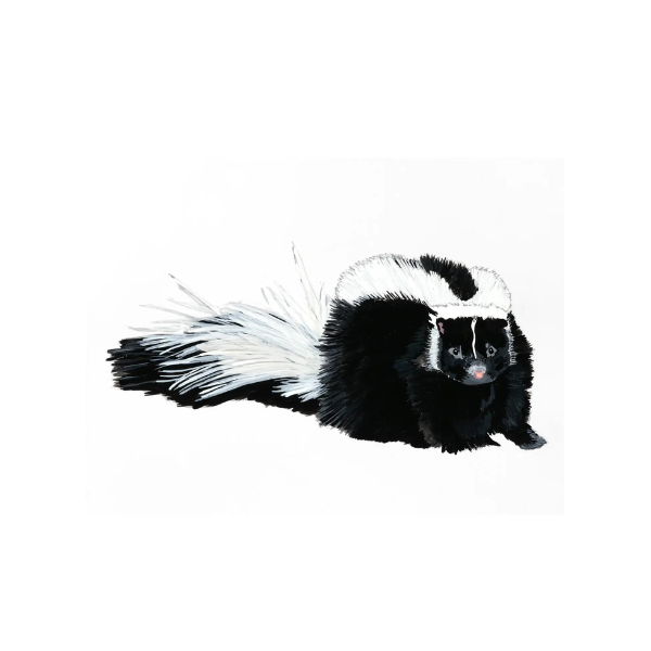 Skunk Art Print