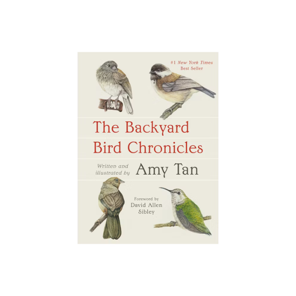 The Backyard Bird Chronicles
