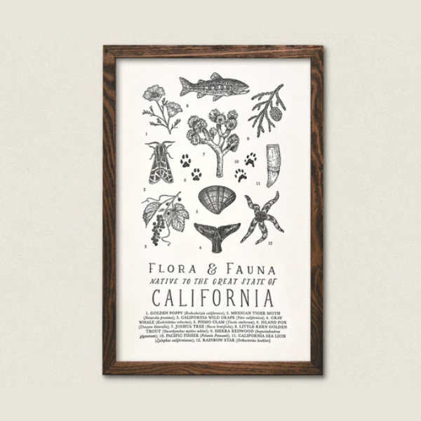 California Field Guide Art Print