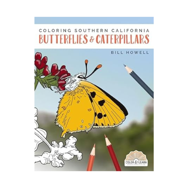Coloring Southern California Butterflies and Caterpillars