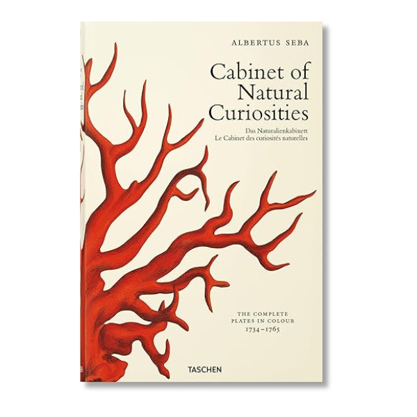 Cabinet of Natural Curiosities