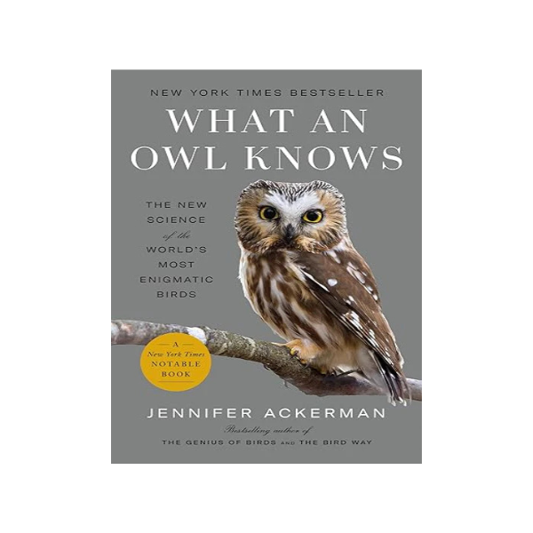 What an Owl Knows