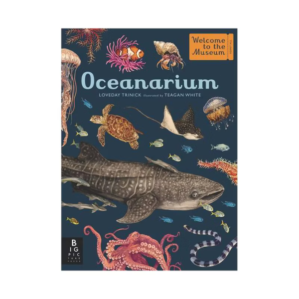 Oceanarium