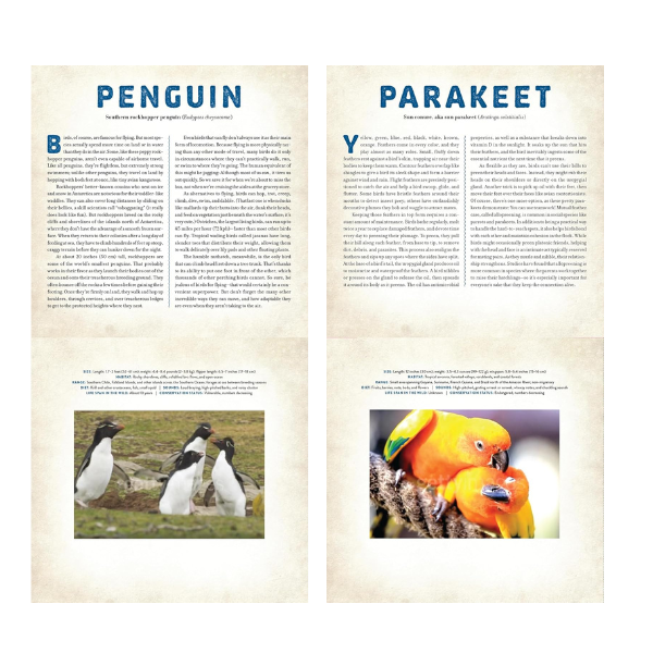 Birds: A Photicular Book