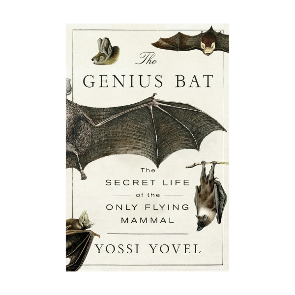 The Genius Bat: The Secret Life of the Only Flying Mammal