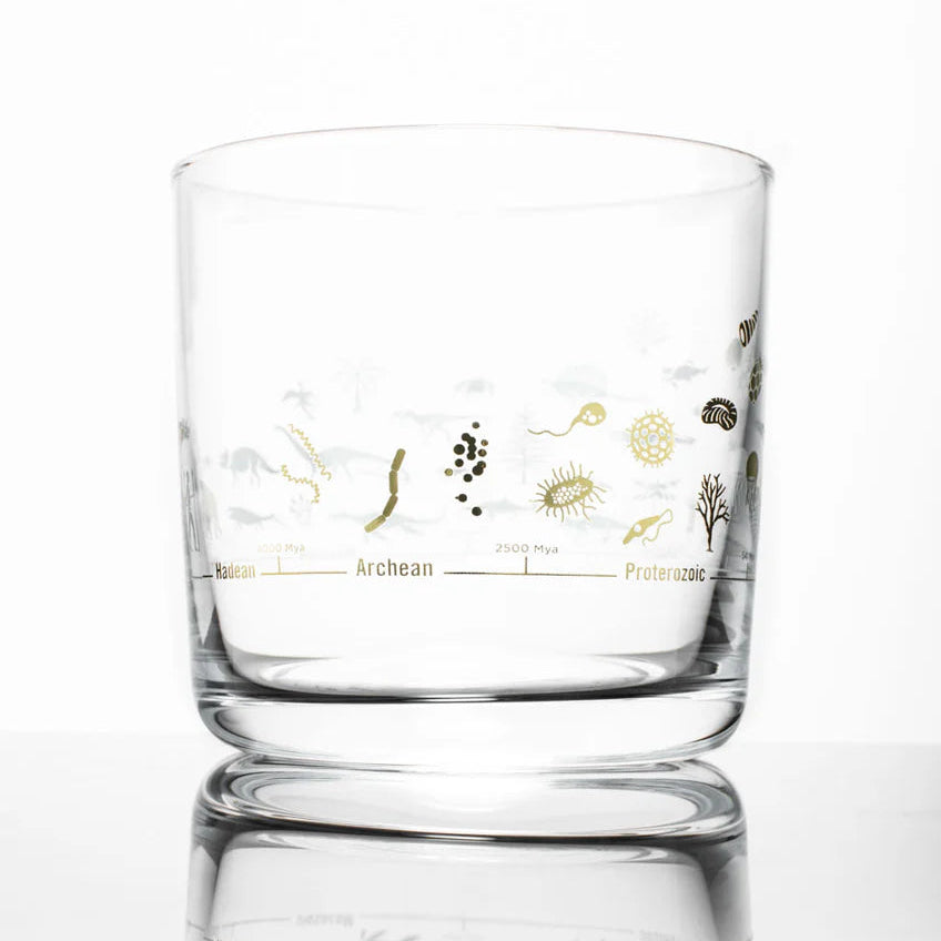 Geologic Time Scale Rocks Glass