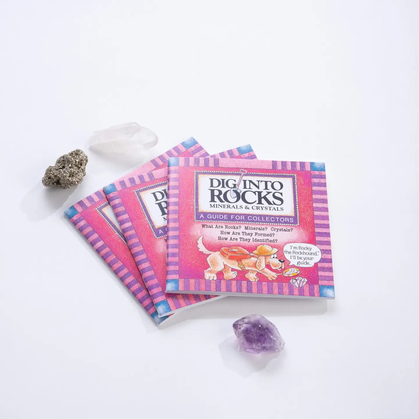 Dig Into Book
