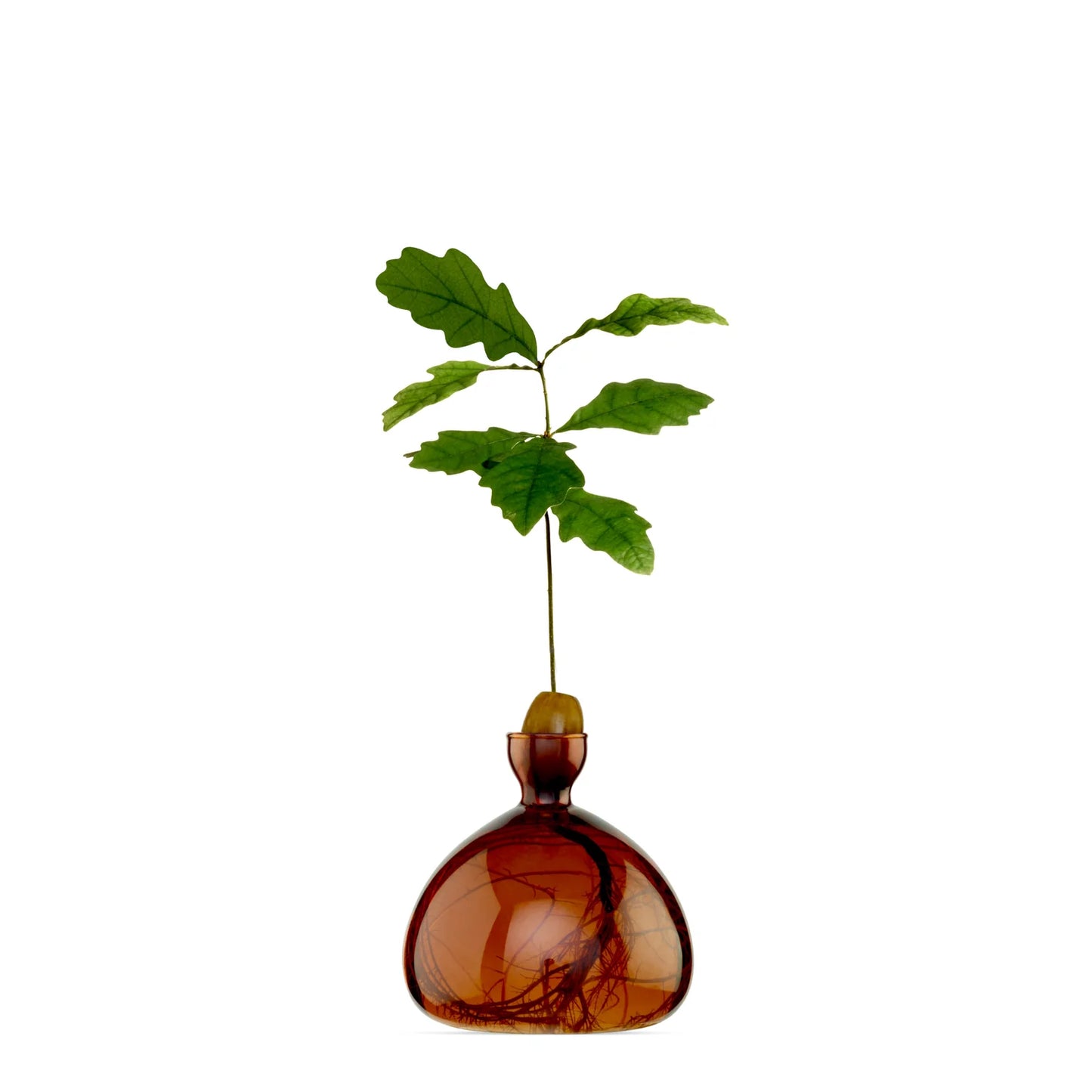Acorn Vase