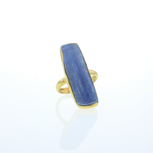 Gold Woodland Kyanite Ring