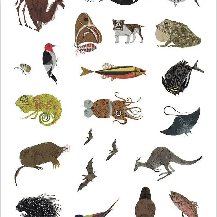 Charley Harper: Tree of Life Sticker Book