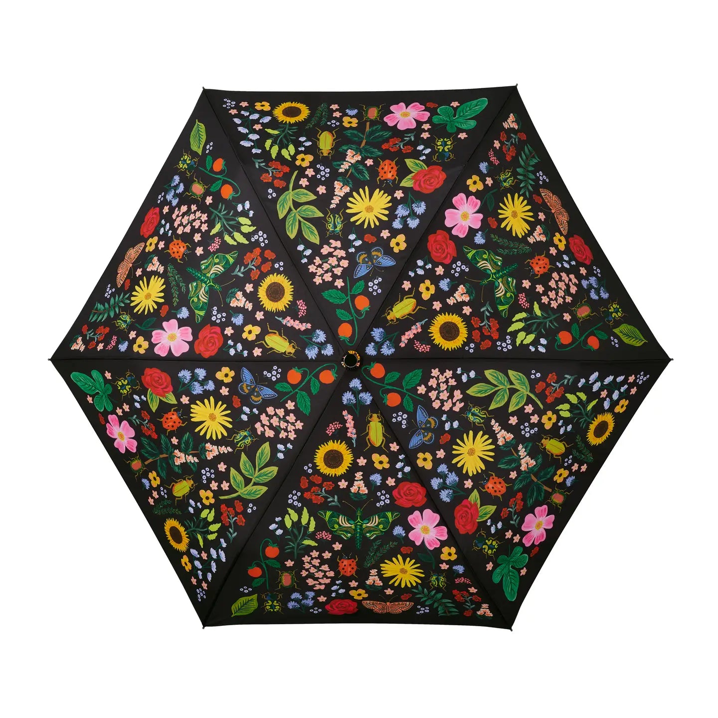 Curio Umbrella