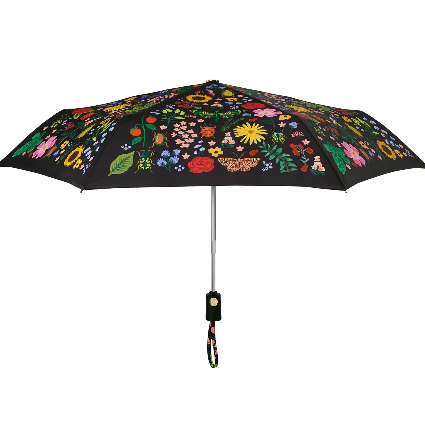 Curio Umbrella