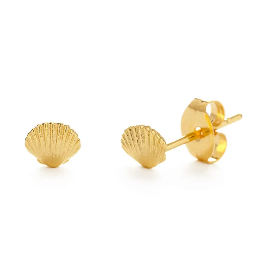Tiny Shell Stud Earrings