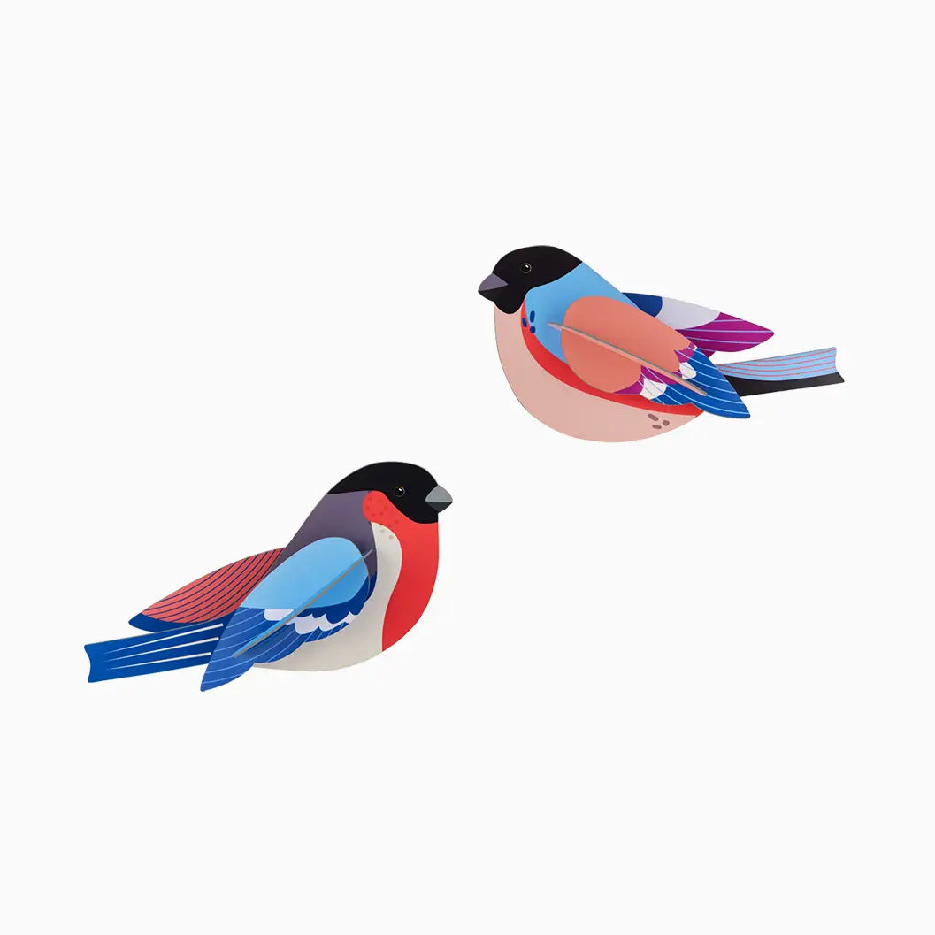 Studio Roof Wall Decor