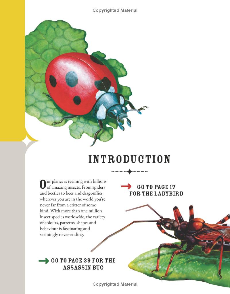 The Incredible World of Bugs
