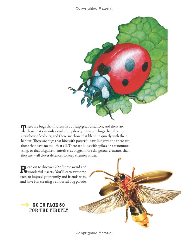The Incredible World of Bugs