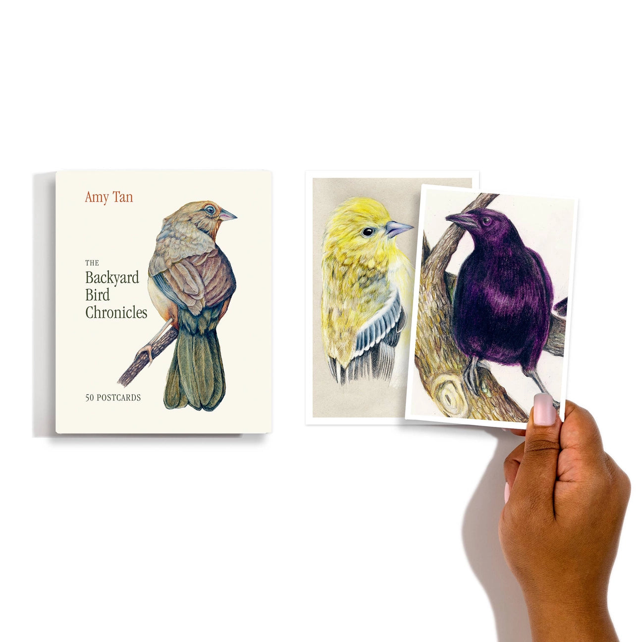 The Backyard Bird Chronicles: 50 Postcards