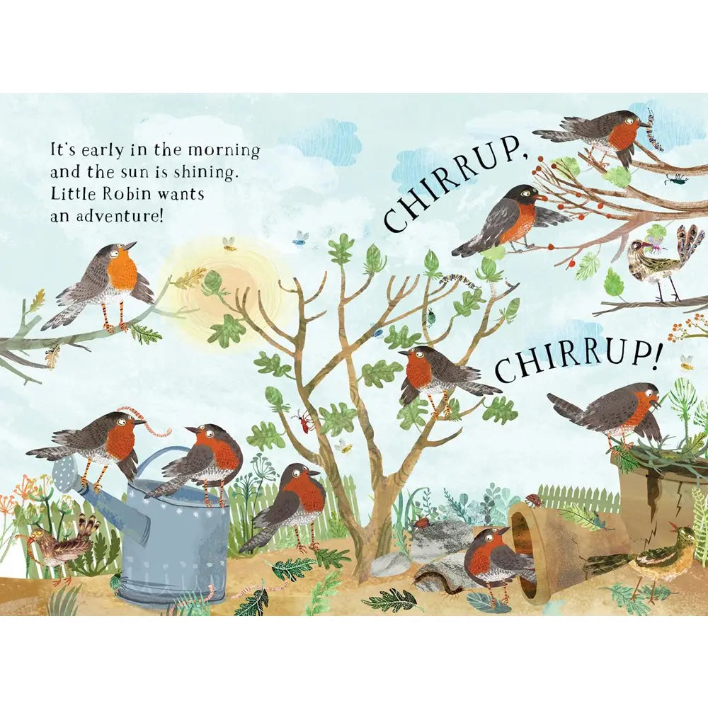 Little Robin's Book of Birds