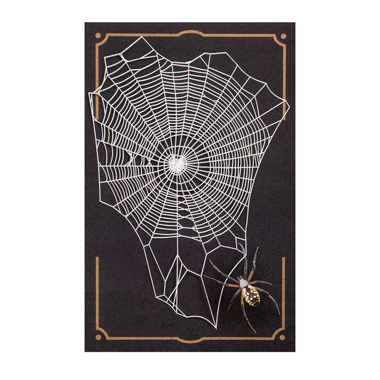 Spiderweb & Spider Fine Paper Specimen Set