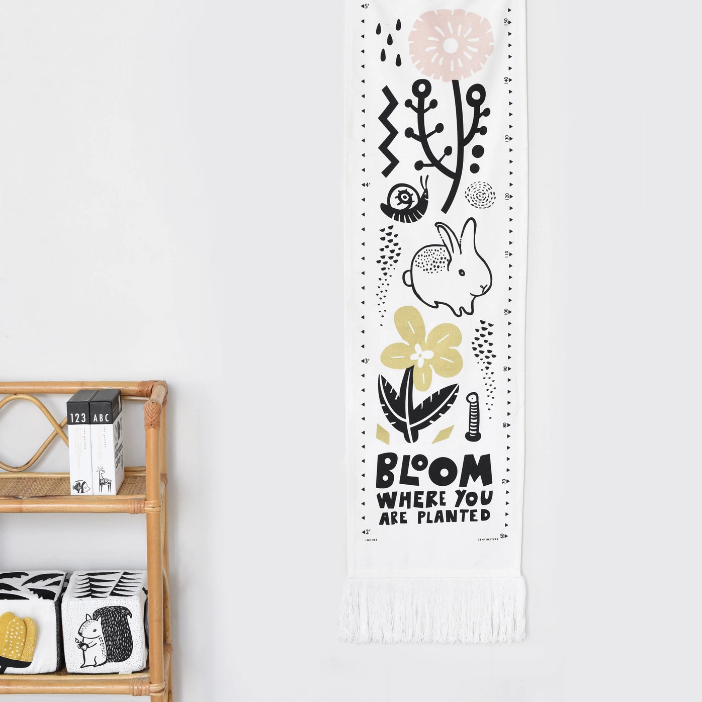 Canvas Growth Chart