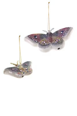 Frosted Moth