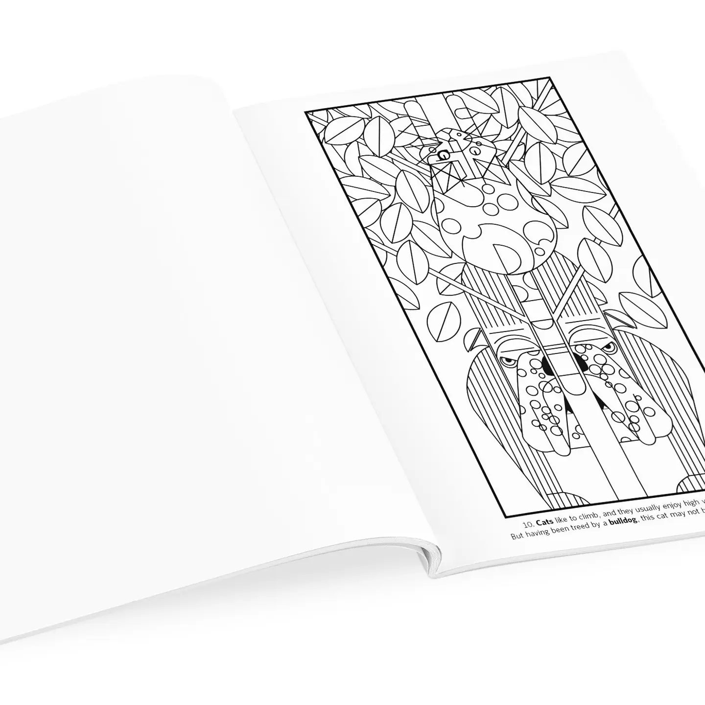 Charley Harper: Volume 2 Coloring Book