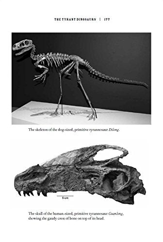 Rise and Fall of the Dinosaurs