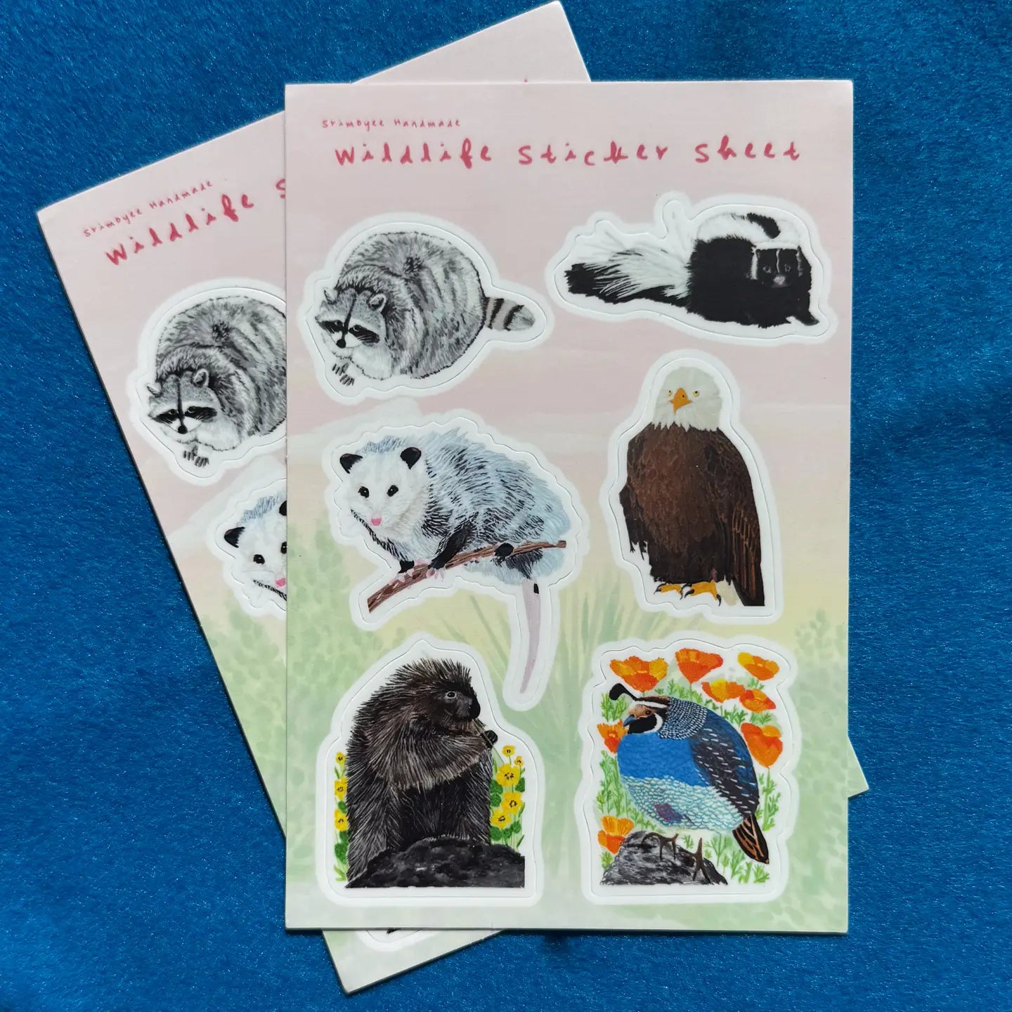 California Wildlife Sticker Sheet