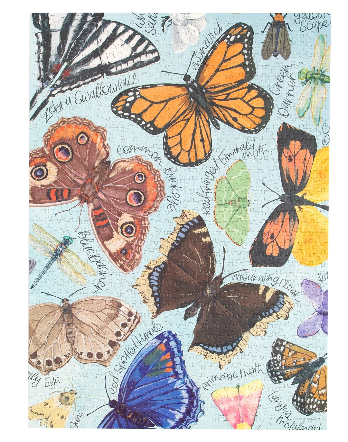 Flutter Friends 1000 Piece Puzzle