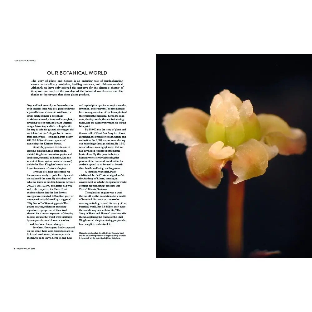The Botanical Bible