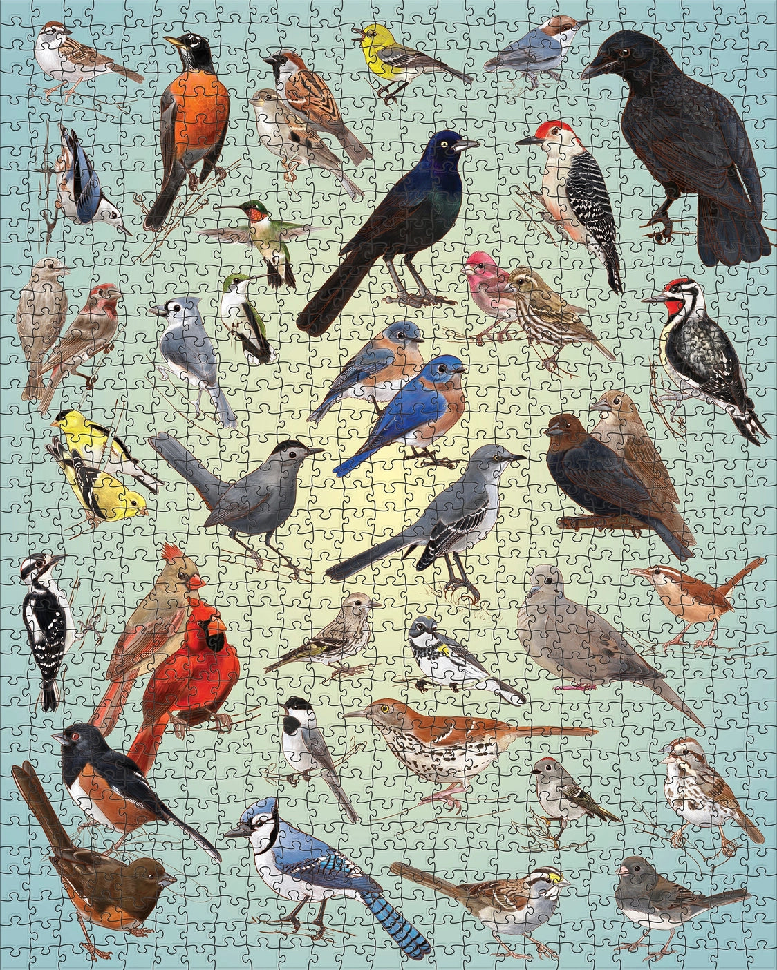 Casey Girard: Backyard Birds 1000-Piece Puzzle