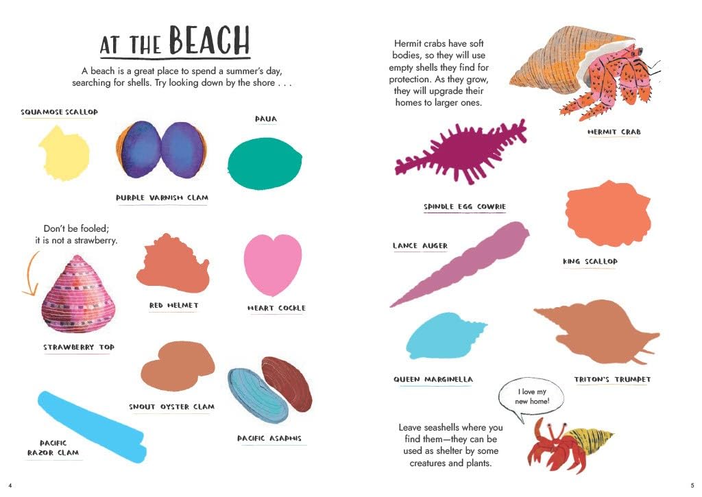 Hello Summer Sticker Activity Book