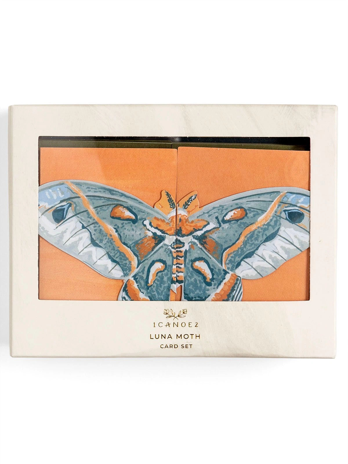 Fold Out Greeting Card Set