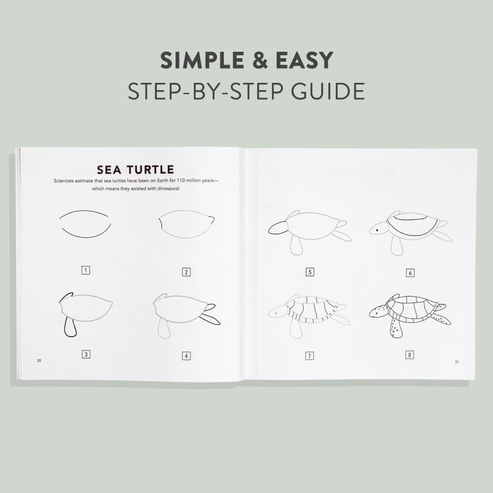 How to Draw Under the Sea for Kids