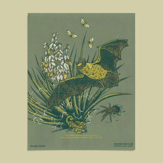 Mojave Desert Bat Print